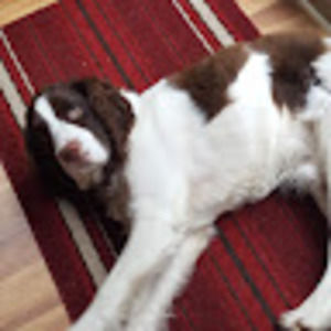 Meet your Posher, Edward